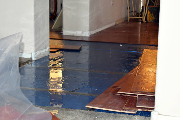 Professional Flood Damage Repair technician working in New Munich, MN